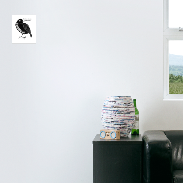 Kakaruia / Chatham Island black robin by mailboxdisco